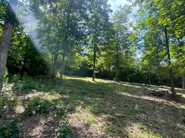 Tract 11 at Skyline Acres property photo