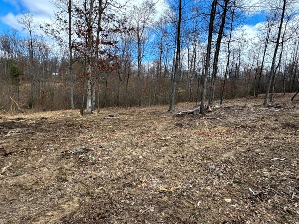 Tract 11 at Skyline Acres property photo