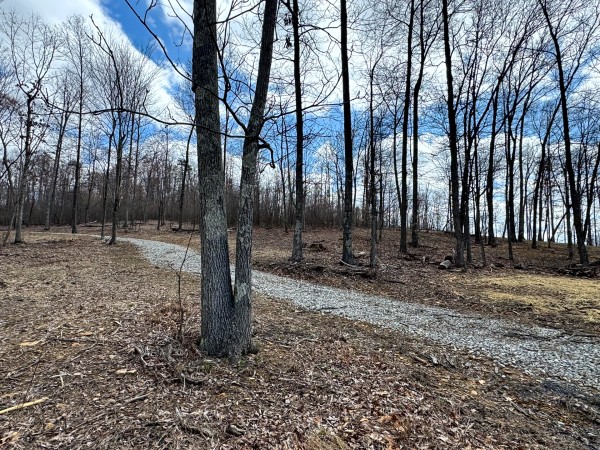 Tract 11 at Skyline Acres property photo