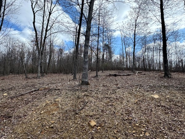 Tract 11 at Skyline Acres property photo