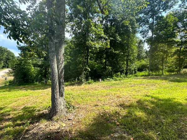 Tract 11 at Skyline Acres property photo
