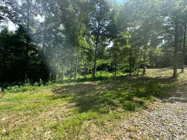 Tract 11 at Skyline Acres property photo