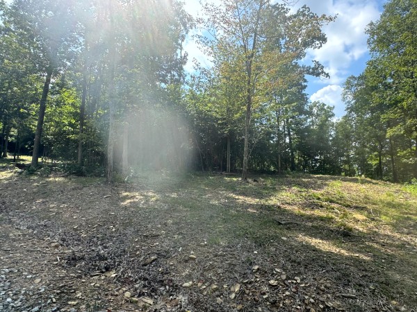 Tract 11 at Skyline Acres property photo