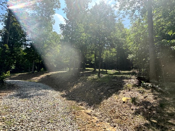 Tract 11 at Skyline Acres property photo