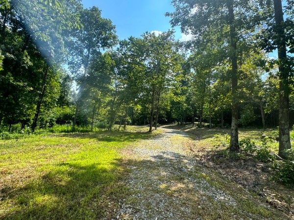 More of Tract 11 at Skyline Acres
