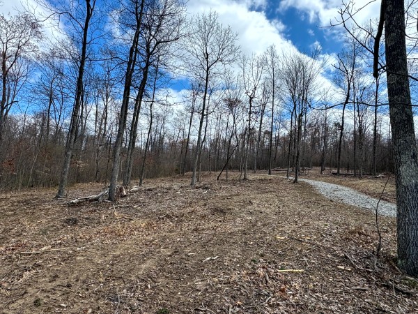 More of Tract 11 at Skyline Acres