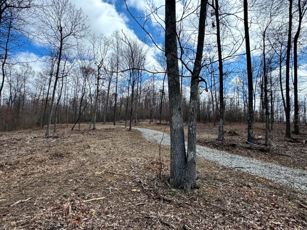 More of Tract 11 at Skyline Acres