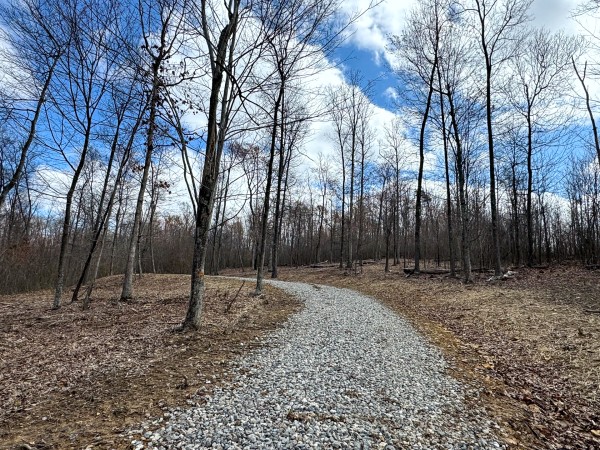 Tract 11 at Skyline Acres property photo