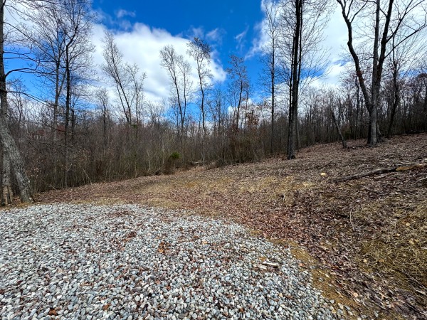 Tract 11 at Skyline Acres property photo
