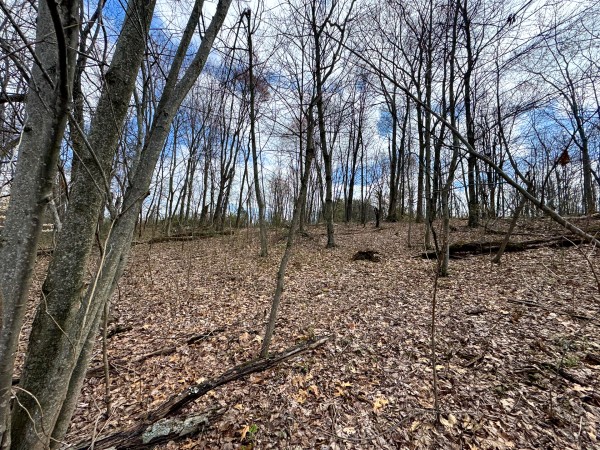 Tract 12 at Skyline Acres property photo