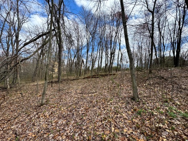 Tract 12 at Skyline Acres property photo