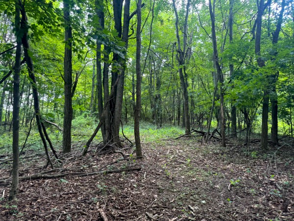Tract 12 at Skyline Acres property photo