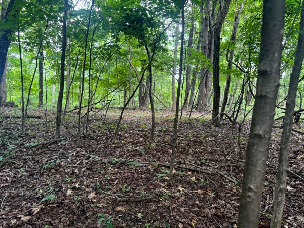 Tract 12 at Skyline Acres property photo