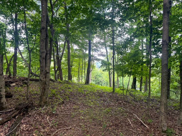 Tract 12 at Skyline Acres property photo