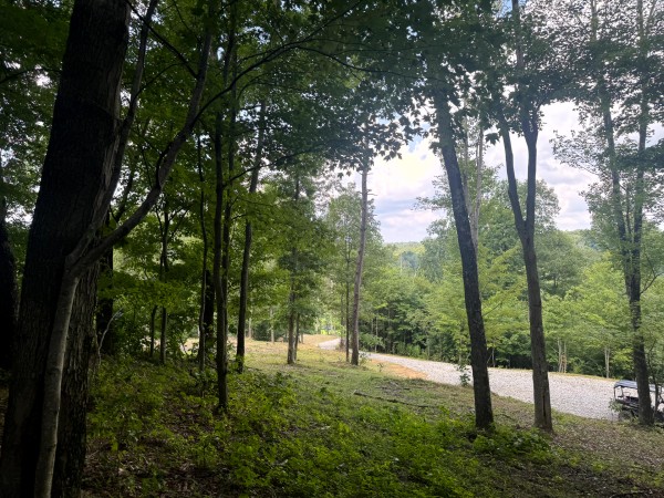 Tract 12 at Skyline Acres property photo