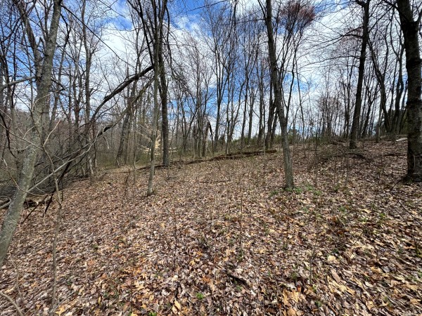 Tract 12 at Skyline Acres property photo