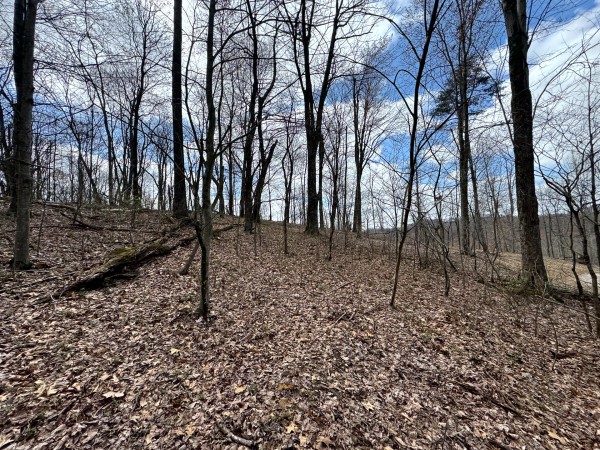 Tract 12 at Skyline Acres property photo