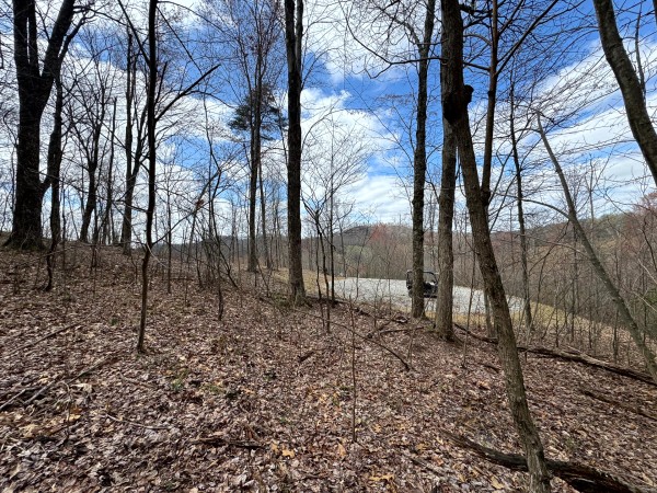 Tract 12 at Skyline Acres property photo