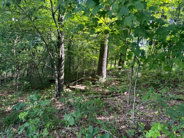 Tract 12 at Skyline Acres property photo