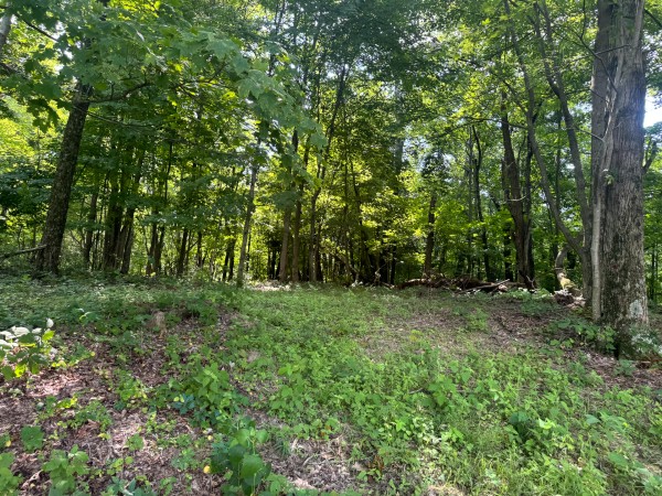 Tract 12 at Skyline Acres property photo