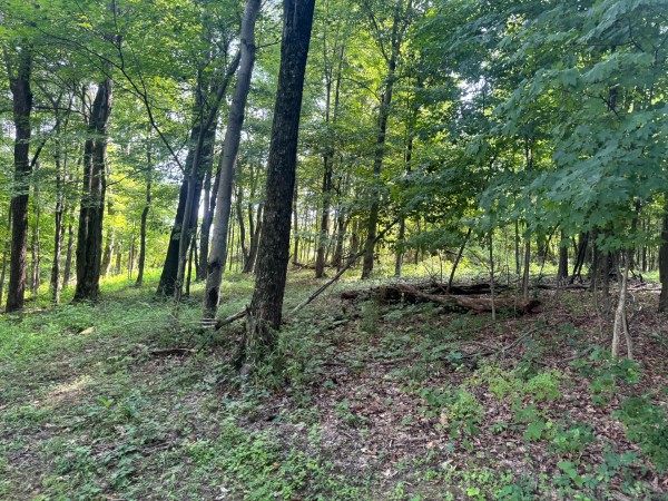 Tract 12 at Skyline Acres property photo