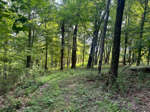 Tract 12 at Skyline Acres property photo