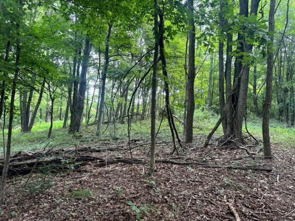Tract 12 at Skyline Acres property photo