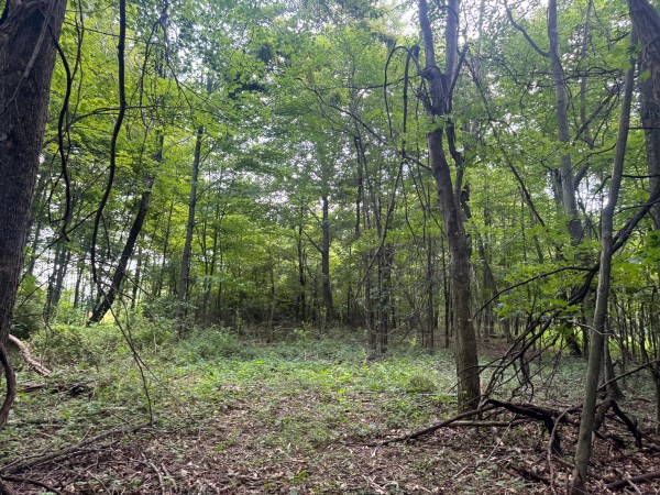 Tract 12 at Skyline Acres property photo