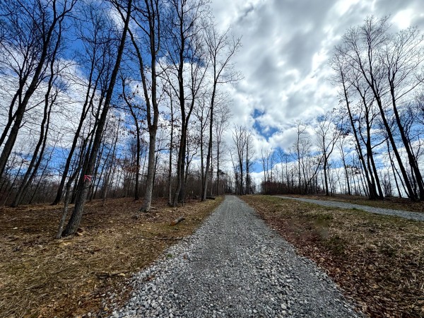 More of Tract 12 at Skyline Acres