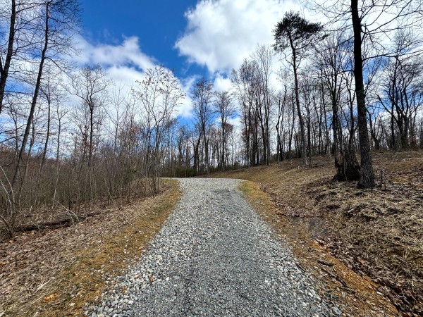More of Tract 12 at Skyline Acres
