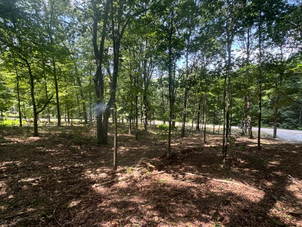 Tract 7 at Skyline Acres property photo
