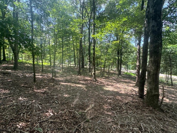 Tract 7 at Skyline Acres property photo