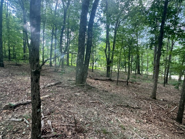 Tract 7 at Skyline Acres property photo