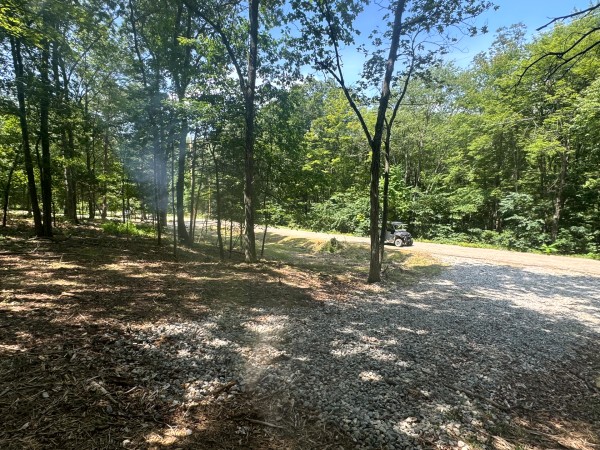 Tract 7 at Skyline Acres property photo