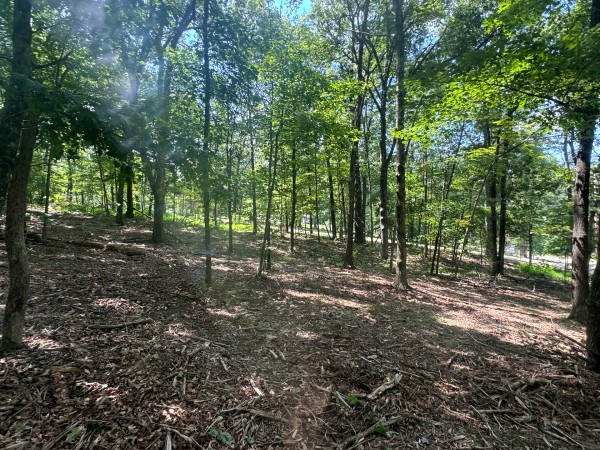 Tract 7 at Skyline Acres property photo