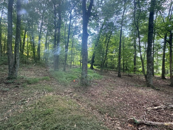 Tract 7 at Skyline Acres property photo
