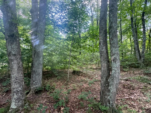 Tract 7 at Skyline Acres property photo