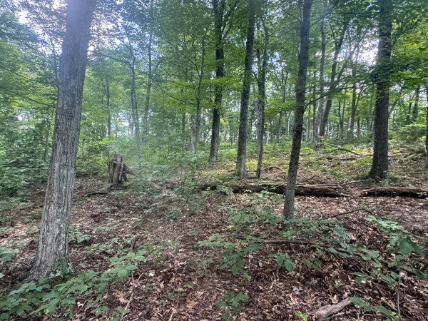 Tract 7 at Skyline Acres property photo