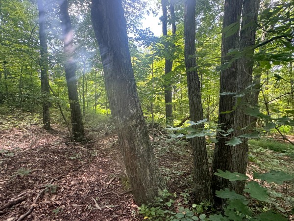 Tract 7 at Skyline Acres property photo