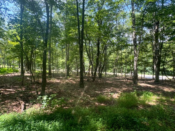 Tract 7 at Skyline Acres property photo