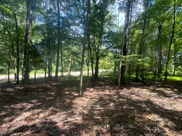 Tract 7 at Skyline Acres property photo