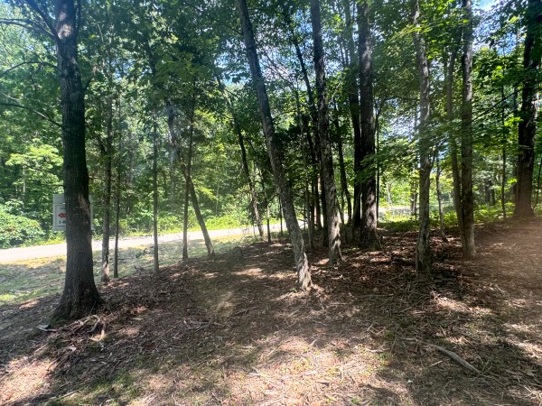 Tract 7 at Skyline Acres property photo