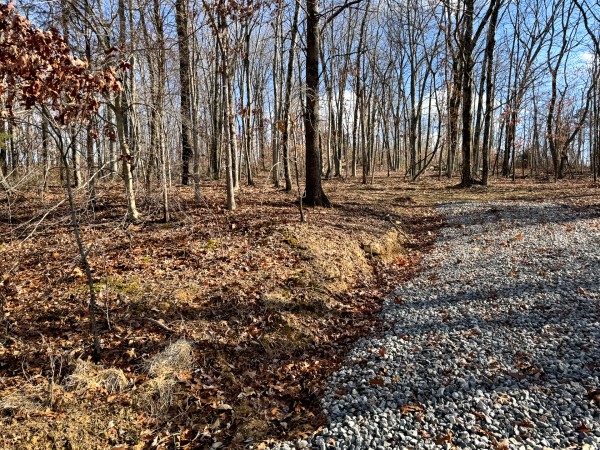 Tract 7 at Skyline Acres property photo