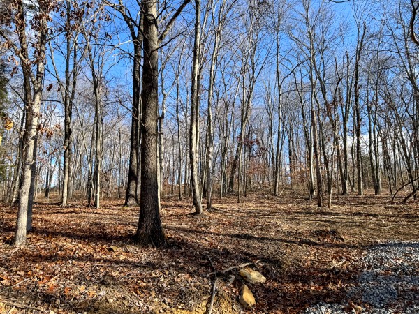 Tract 7 at Skyline Acres property photo
