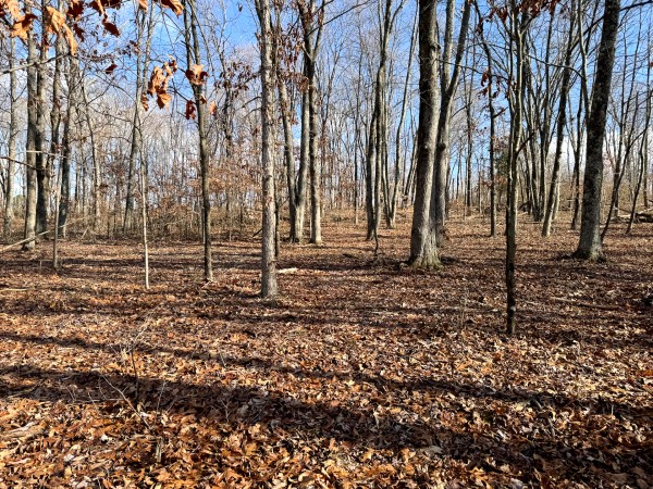 Tract 7 at Skyline Acres property photo