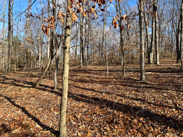 Tract 7 at Skyline Acres property photo