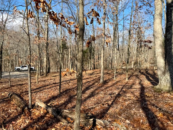 Tract 7 at Skyline Acres property photo