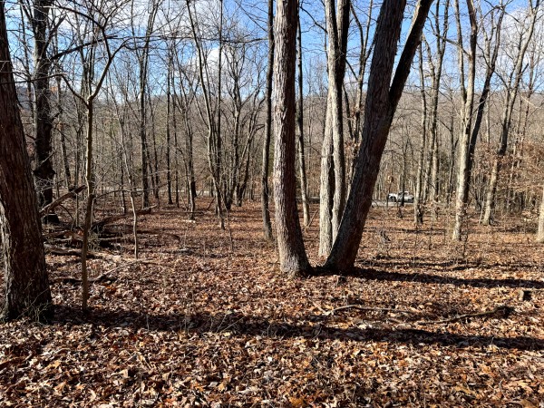 Tract 7 at Skyline Acres property photo