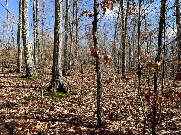 Tract 7 at Skyline Acres property photo