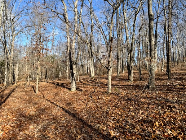 Tract 7 at Skyline Acres property photo